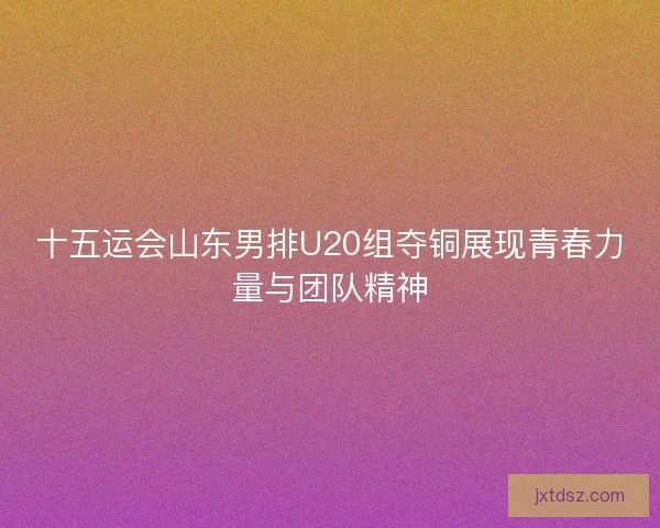 十五运会山东男排U20组夺铜展现青春力量与团队精神